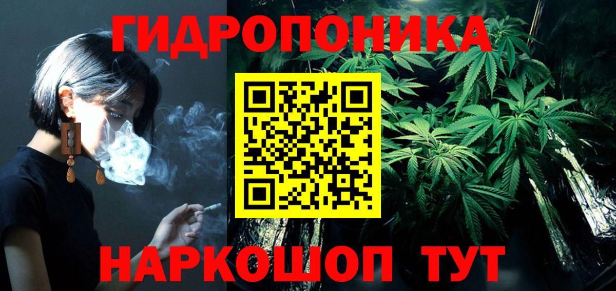 Каннабис OG Kush  Бошки марихуана тримм  Курчалой  Каннабис SATIVA & INDICA  Вход с VPN 